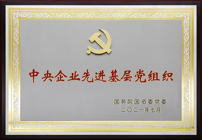 國珍松花粉-新時代健康產(chǎn)業(yè)（集團）有限公司成立于1995年3月，是中國新時代控股（集團）公司的控股子公司，總部設在北京，注冊資本1億元人民幣。公司是直銷行業(yè)內(nèi)首批獲得直銷牌照的內(nèi)資企業(yè)之一，也是行業(yè)內(nèi)唯一一家央屬企業(yè)。